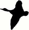 Bird (8) vinyl decal